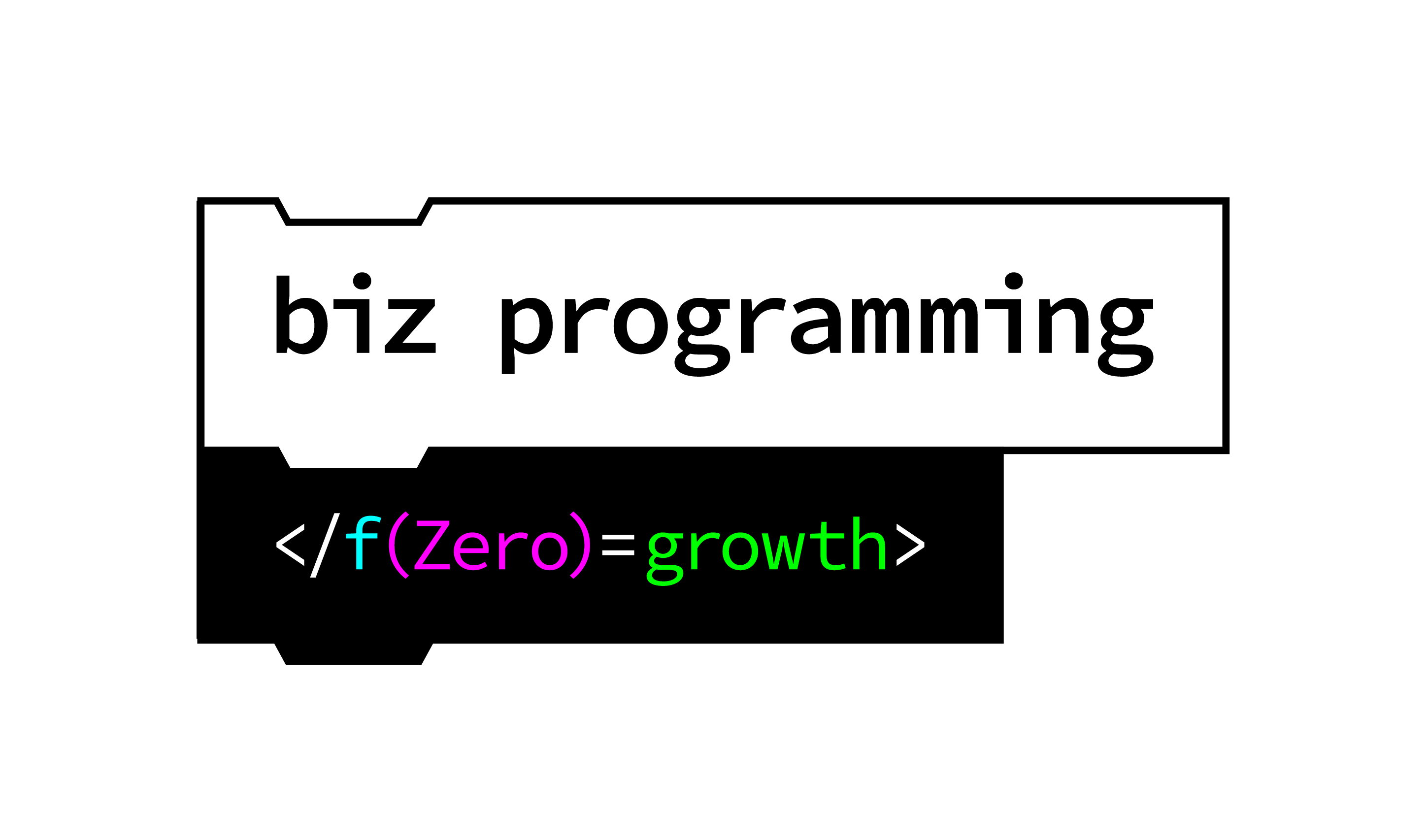 biz programming